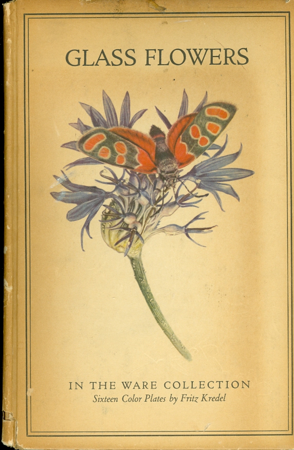 Image for Glass Flowers From the Ware Collection in the Botanical Museum of Harvard University