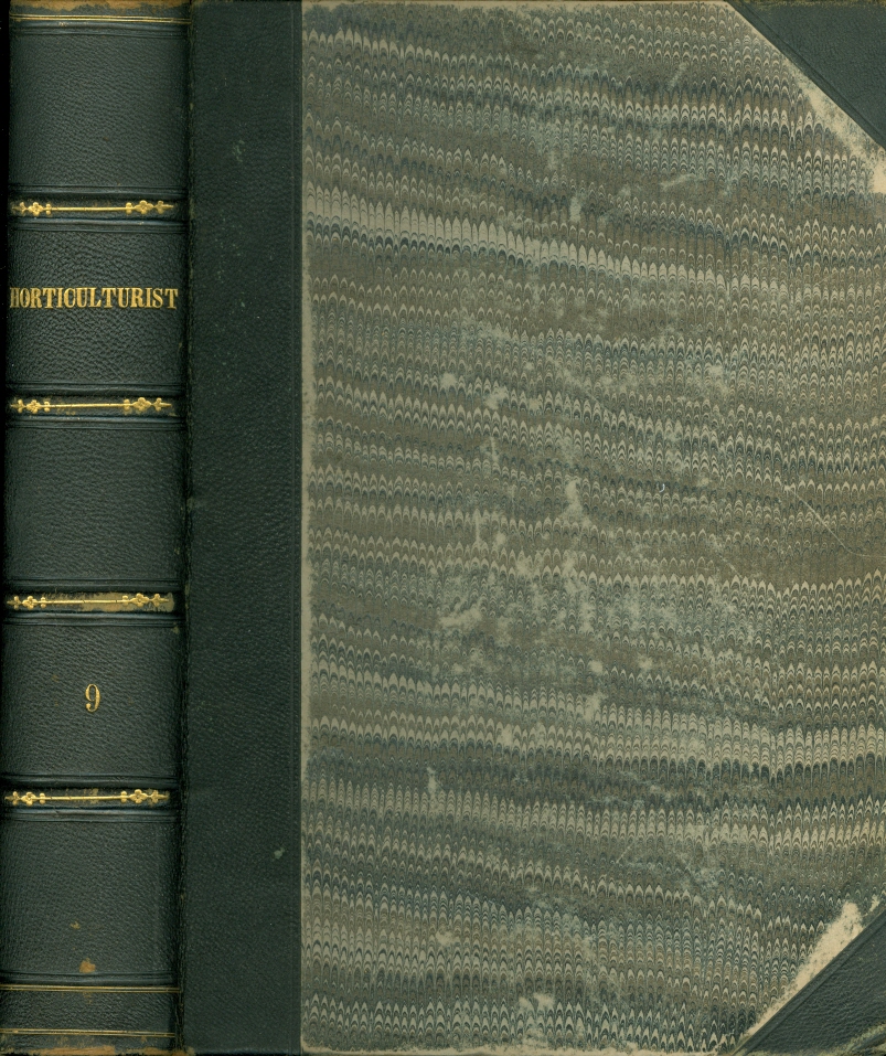 Image for The Horticulturist And Journal of Rural Art and Rural Taste Devoted to Horticulture, Landscape Gardening, Rural Architecture, Botany, Pomology, Entomology, Rural Economy, Etc.