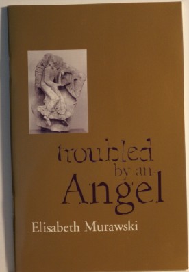 Image for Troubled by an Angel
