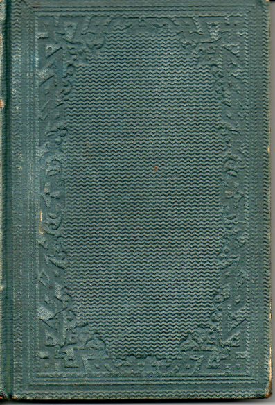 Image for Thirteen Months in the Rebel Army