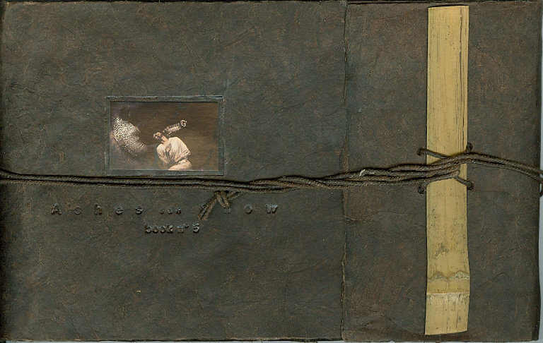 Image for Ashes and Snow Book No. 5