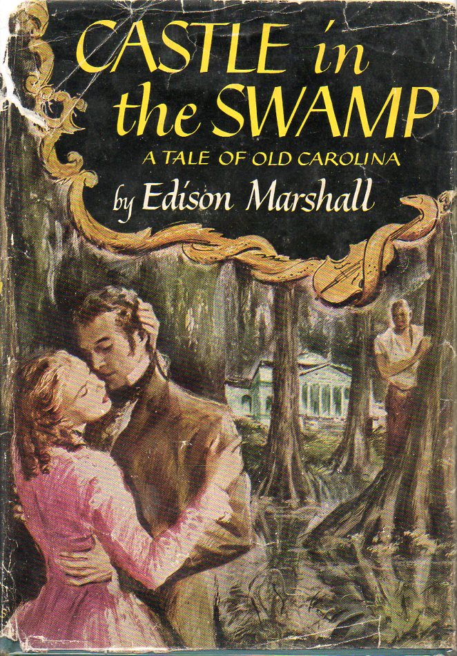 Image for Castle in the Swamp A Tale of Old Carolina