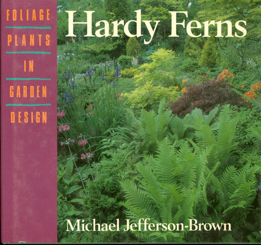 Image for Hardy Ferns