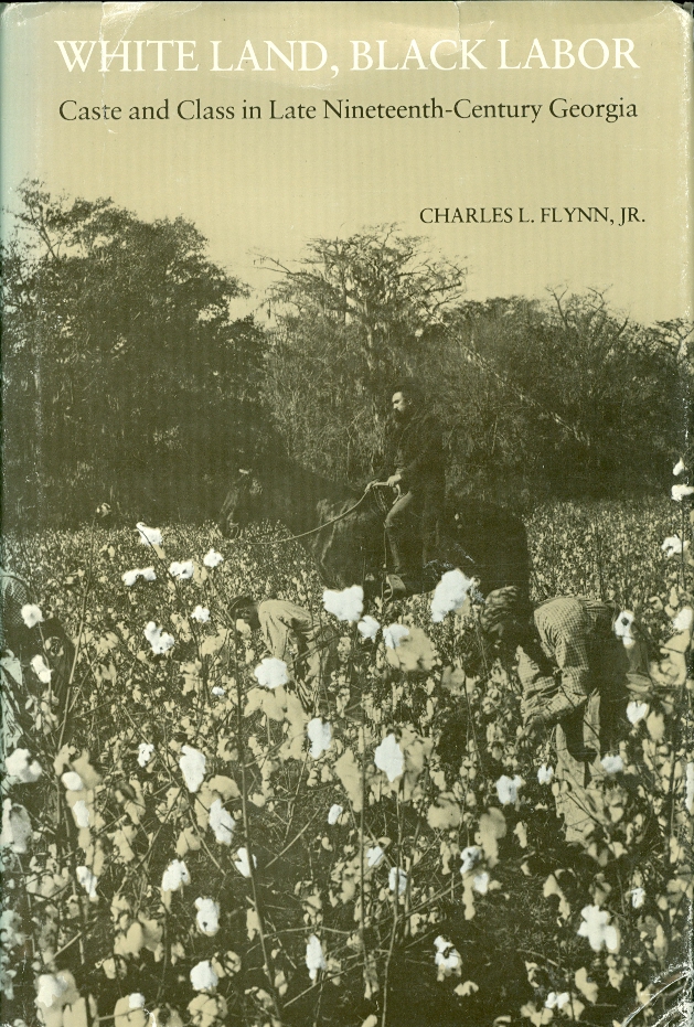 Image for White Land, Black Labor Caste and Class in Late Nineteenth-Century Georgia