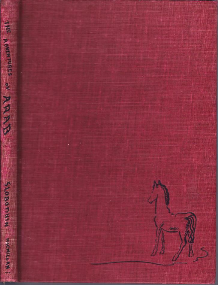 Image for The Adventures of Arab