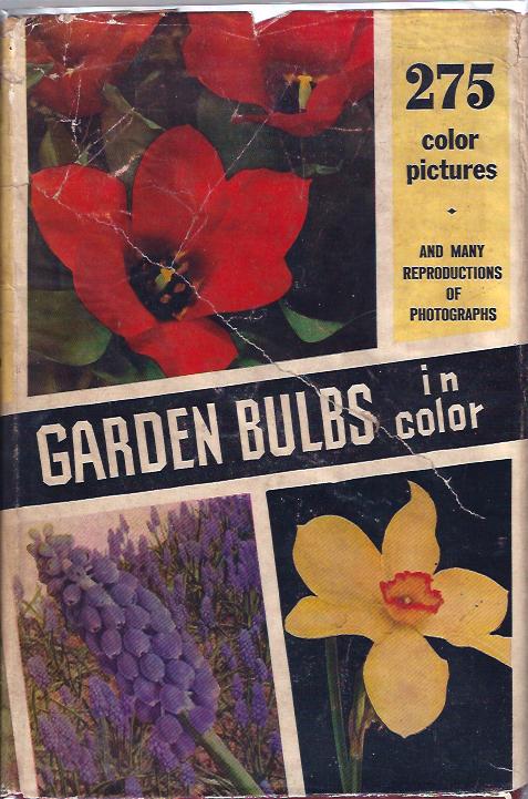 Image for Garden Bulbs in Color