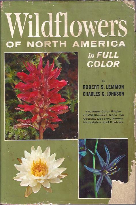 Image for Wildflowers of North America in Full Color