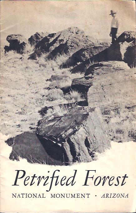 Image for Petrified Forest National Monument