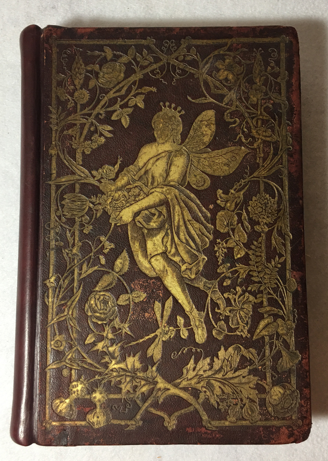 Image for Die Pilgerfahrt Der Blumengeister