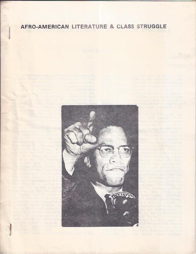 Image for Afro-American Literature and Class Struggle