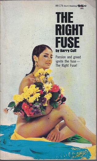 Image for The Right Fuse