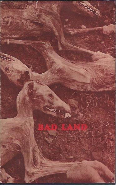 Image for Bad Land
