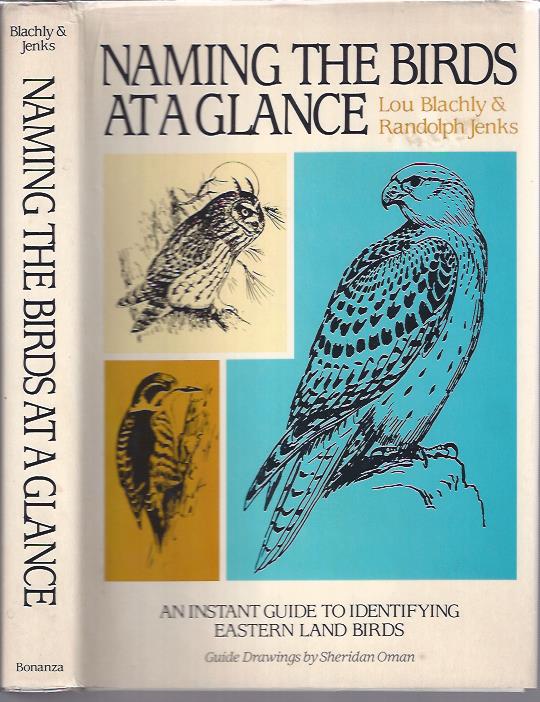 Image for Naming the Birds at a Glance: An Instant Guide to Identifying Eastern Land Birds
