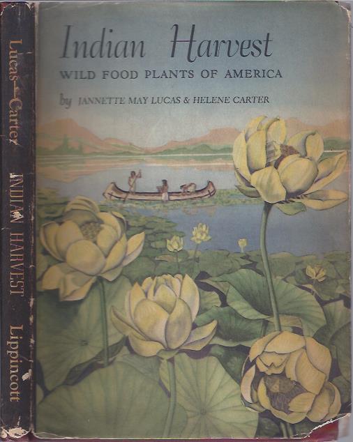 Image for Indian Harvest: Wild Food Plants of America