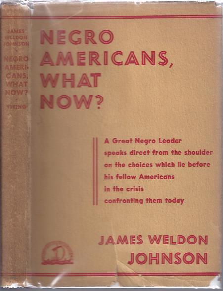 Image for Negro Americans, What Now?