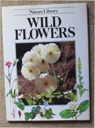 Image for Wild Flowers