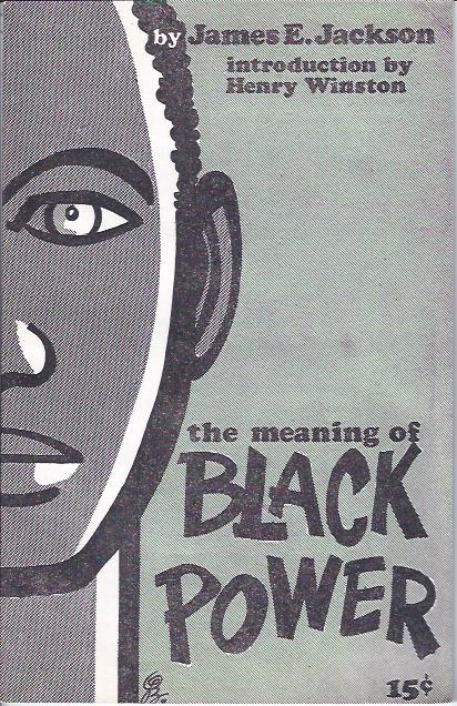 Image for The Meaning of Black Power