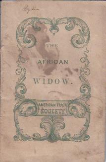 Image for The African Widow