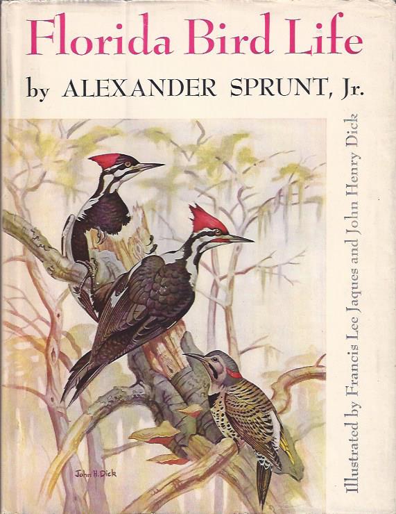 Image for Florida Bird Life