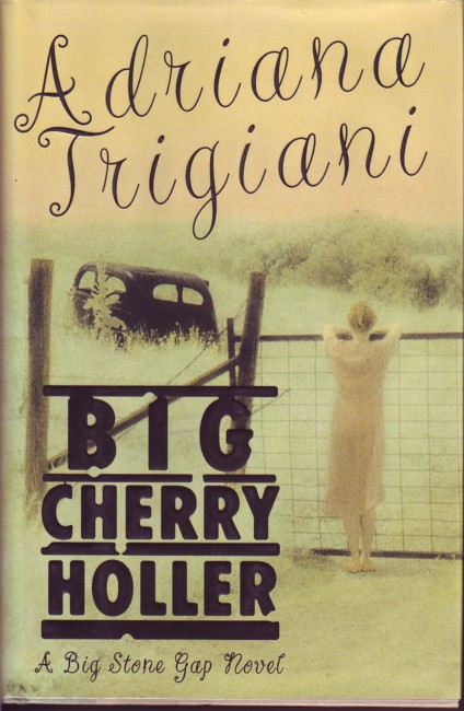 Image for Big Cherry Holler