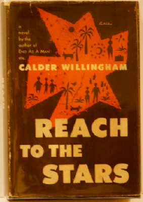 Reach to the Stars Image for Reach to the Stars