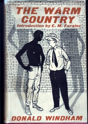 Image for The Warm Country