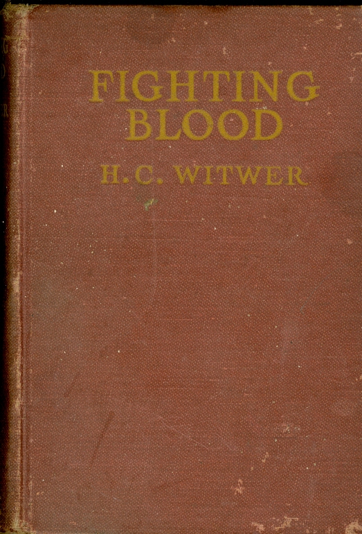 Image for Fighting Blood