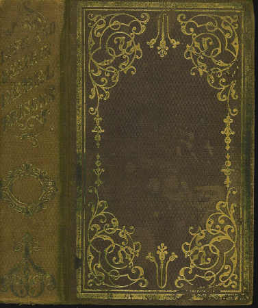 Lie and Death in Rebel Prisons Giving a Complete History of the Inhumane and Barbarous Treatment of Our Brave Soldiers by Rebel Authorities, / Inflicting Terrible Suffering and Fright-/ Ful Mortality, Principally At / Andersonville, GA. , and Florence, S. C. , / Describing / Plans of E Image for Lie and Death in Rebel Prisons Giving a Complete History of the Inhumane and Barbarous Treatment of Our Brave Soldiers by Rebel Authorities, / Inflicting Terrible Suffering and Fright-/ Ful Mortality, Principally At / Andersonville, GA. , and Florence, S. C. , / Describing / Plans of E