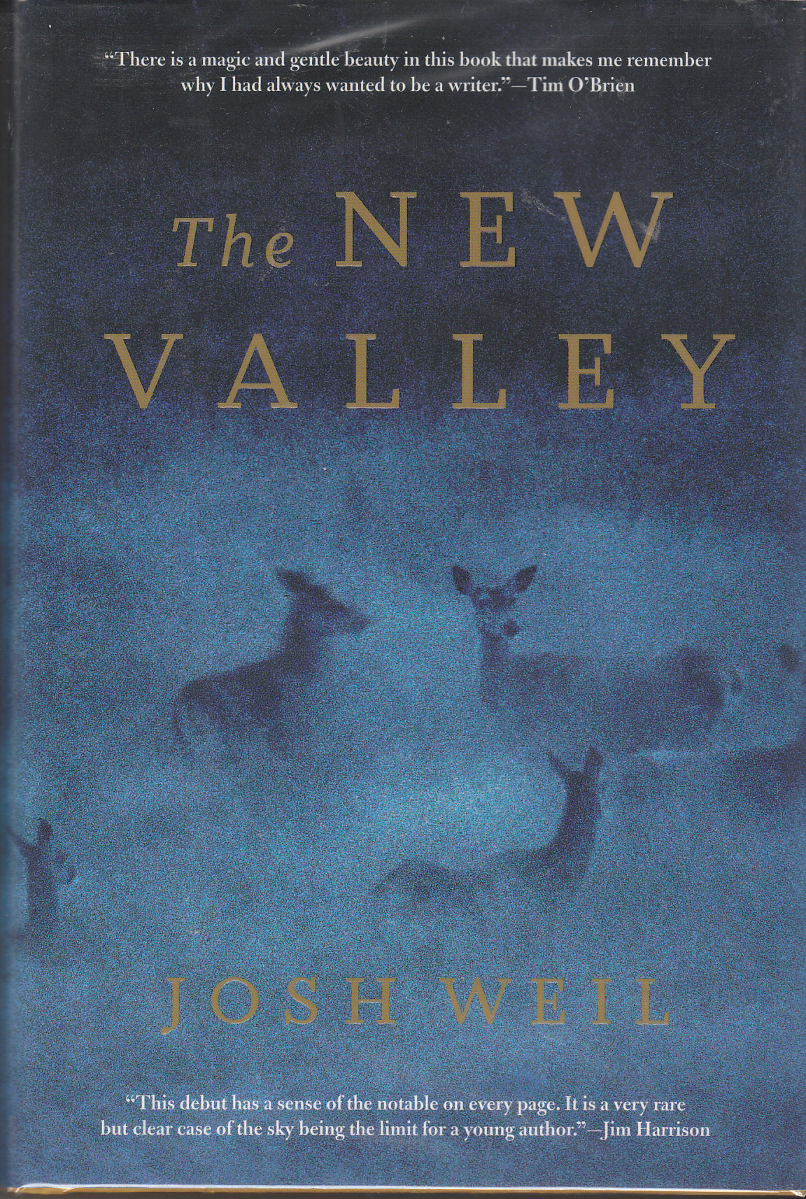 Image for The New Valley