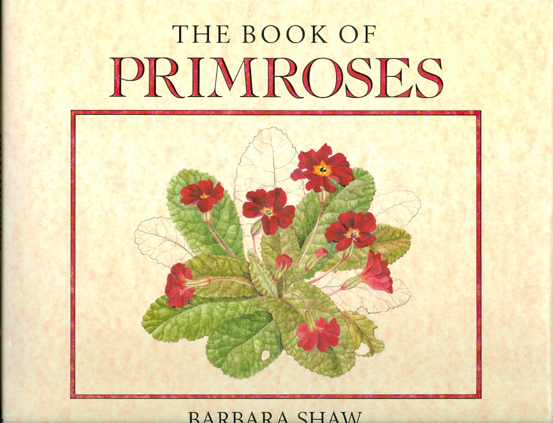 Image for The Book of Primroses