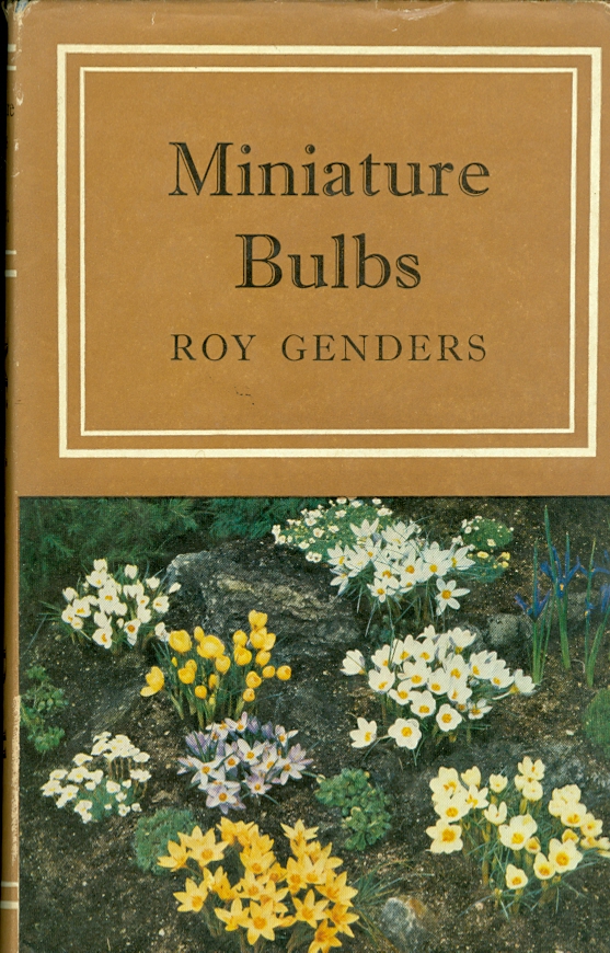 Image for Miniature Bulbs