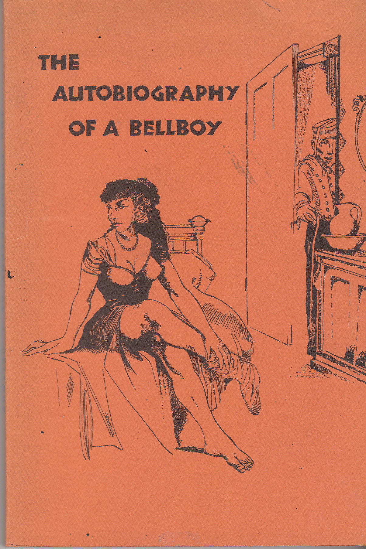 Image for The Autobiography of a Bellboy