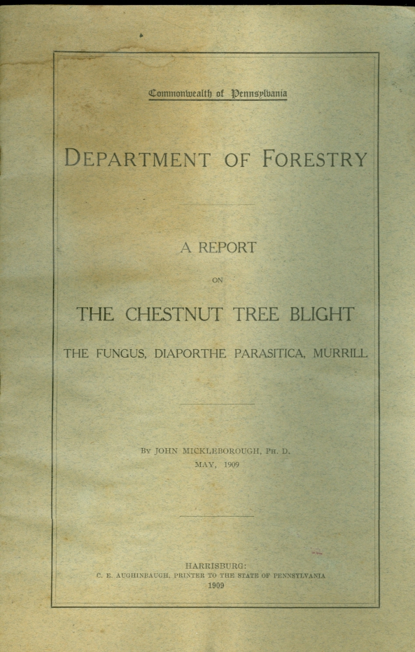 Image for A Report on the Chestnut Tree Blight The Fungus, Diaporthe Parasitica, Murrill