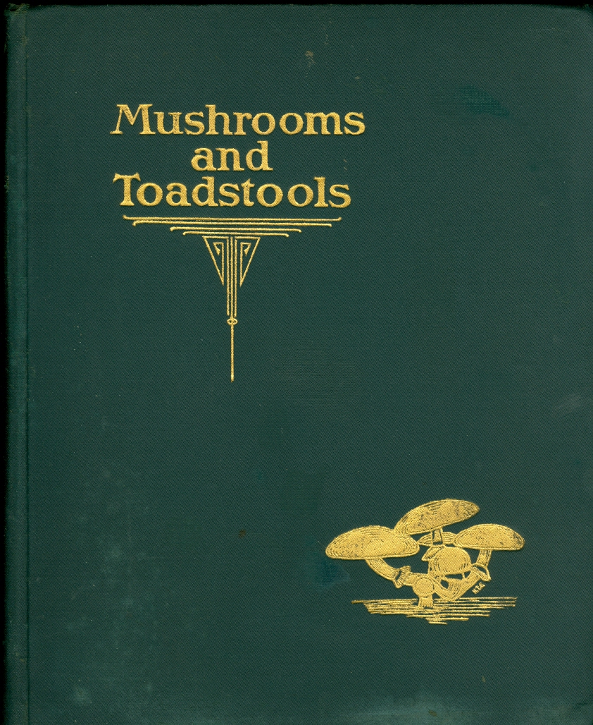 Image for Mushrooms and Toadstools An Account of the More Common Edible and Poisonous Fungi of Canada