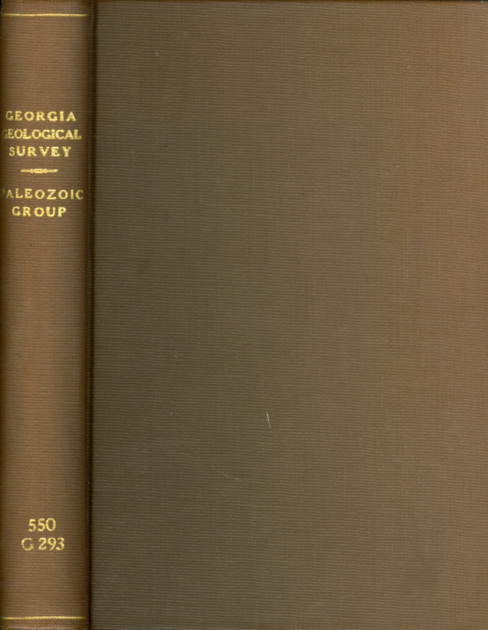 Image for The Paleozoic Group The Geology of Ten Counties of Northwestern Georgia