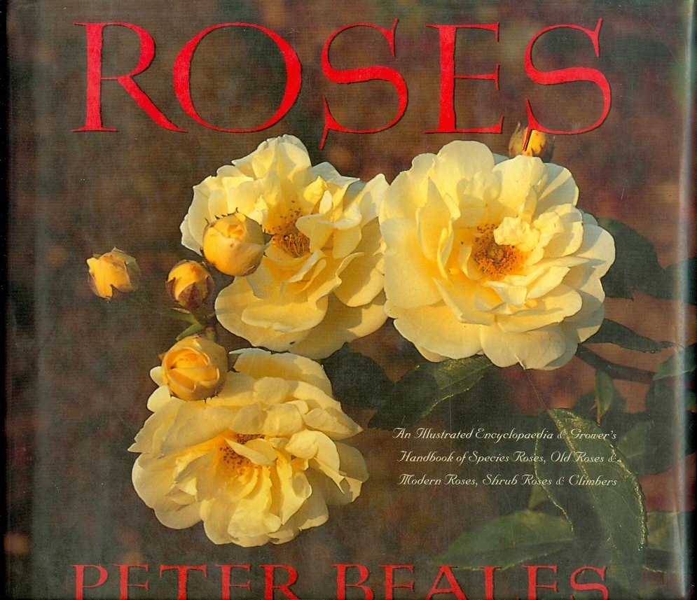 Roses An Illustrated Encyclopaedia and Grower's Handbook of Species Roses, Old Roses and Modern Roses, Shrub Roses and Climbers Image for Roses An Illustrated Encyclopaedia and Grower's Handbook of Species Roses, Old Roses and Modern Roses, Shrub Roses and Climbers