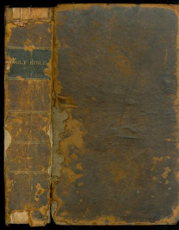 Image for The Holy Bible Containing the Old and New Testaments: Translated out of the Original Tongues and with the Former Translations Diligently Compared and Revised