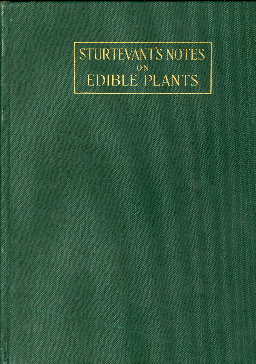 Image for Sturtevant's Notes on Edible Plants